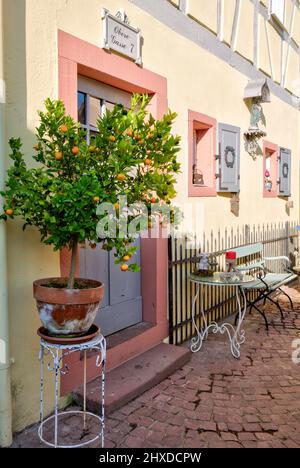 Photo reportage with text, Obere Gasse No 7, homestory, porta d'ingresso, arance tree, casa facciata, Vista della casa, decorazione, Rothenfels, Main Spessart, Franconia, Baviera, Germania, Europa Foto Stock