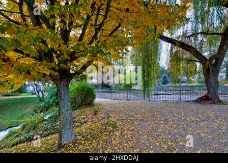 Liebfrauensee, sentiero cappella, foglie d'autunno, Bad Kissingen, Franconia, Baviera, Germania, Europa Foto Stock