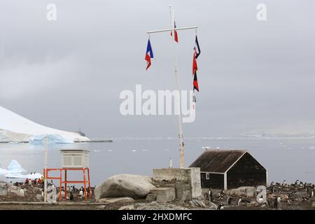 Stazione meteorologica flagpole e colonia di pinguini Gentoo presso la base Antartica cilena González Videla, Penisola Antartica. Foto Stock