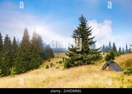 Tenda da campeggio in un ambiente montano. Carpazi, Ucraina, Europa. Mondo di bellezza. Foto Stock