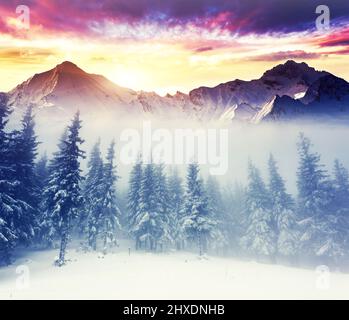 Fantastic evening winter landscape. Dramatic overcast sky. Creative collage. Beauty world. Foto Stock
