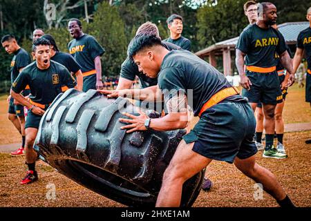 Schofeld Barracks East Range, Hawaii, USA. 25th Feb 2022. Soldati dell'esercito degli Stati Uniti che frequentano il corso di base del leader alla squadra di ufficiale non commissionata dell'Accademia delle Hawaii fino a ribaltare uno pneumatico durante la competizione del PT dell'Accademia. Verso la fine di ogni ciclo di formazione, gli studenti competono l'uno contro l'altro in squadre mentre lottano per rivendicare il titolo di platone più forte. Questo evento è un grande motivatore per molti degli studenti presenti, rafforzando i legami e incoraggiando ogni soldato a lavorare insieme. Credit: U.S. Army/ZUMA Press Wire Service/ZUMAPRESS.com/Alamy Live News Foto Stock