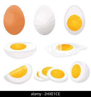 Raccolta di uova in varie forme (intere, fritte, bollite, a metà e affettate) su sfondo bianco, illustrazione vettoriale Illustrazione Vettoriale