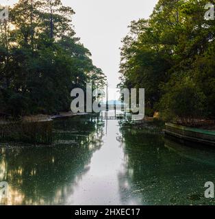 Mattinata di nebbia e ponte sul fiume Kiawah, Kiawah Island, Carolina del Sud, USA Foto Stock