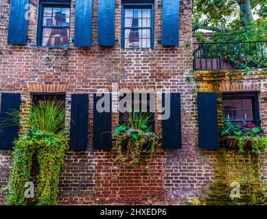 Vetrofette riempite di piante nel distretto storico, Charleston, Carolina del Sud, Stati Uniti Foto Stock