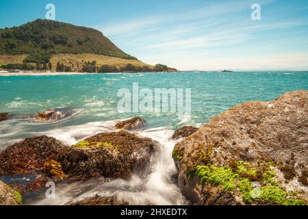 Monte Maunganui punto di riferimento all'orizzonte da primo piano roccioso dell'Isola di Moturiki, Tauranga Nuova Zelanda. Foto Stock