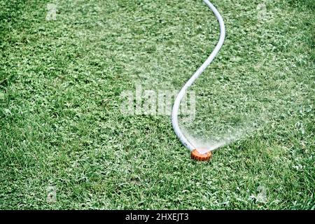 Annaffiatura mattutina del prato con sistema di irrigazione. Impianto sprinkler a manichetta per prato. Primo piano Foto Stock