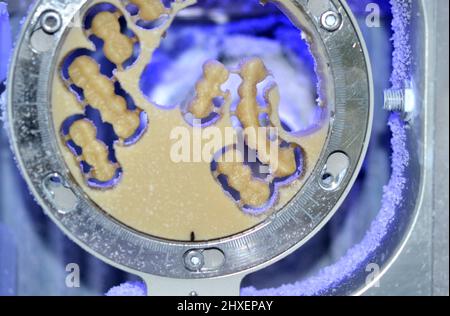 Dental fresatrice carving fuori forma dei denti umani Foto Stock