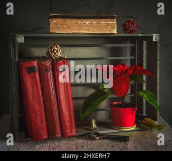 Ancora vita con poinsettia pianta (stella di Natale) e libri. Vintage. Foto Stock
