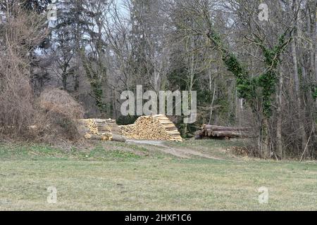 Vienna, Austria. 06 marzo 2022. Il Lainzer Tiergarten di Vienna. Foto Stock