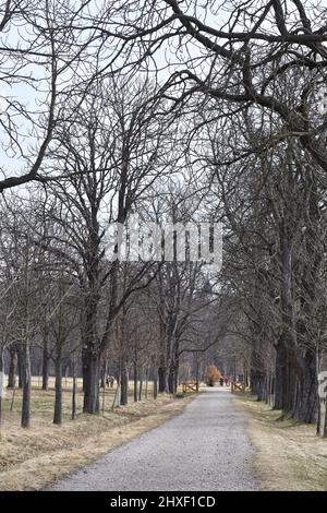 Vienna, Austria. 06 marzo 2022. Il Lainzer Tiergarten di Vienna. Foto Stock