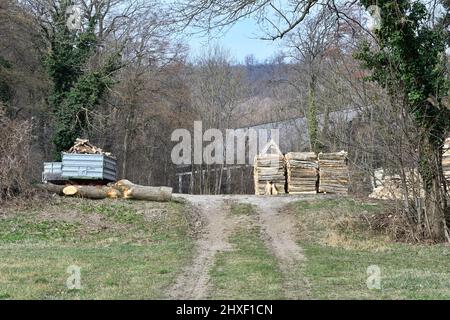 Vienna, Austria. 06 marzo 2022. Il Lainzer Tiergarten di Vienna. Foto Stock