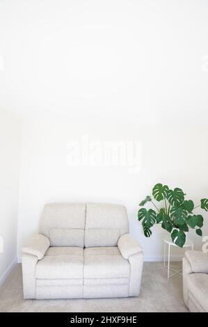 Pianta verde di Monstera in vaso bianco in casa di decorazione neutrale Foto Stock