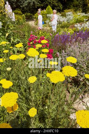 I visitatori ammirano lo spettacolare confine erbaceo dei Waterperry Gardens nell'Oxfordshire UK in alta estate Foto Stock