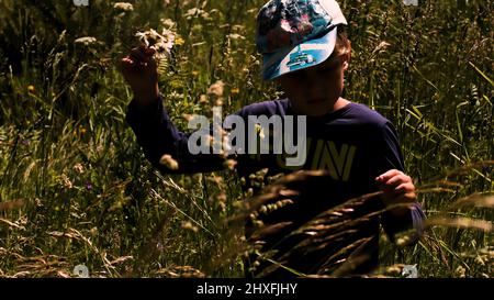 Un ragazzo sul campo. Creativa. Un ragazzino in abiti estivi e un cappellino che si trova in un campo con erba alta e raccoglie margherite. Foto Stock