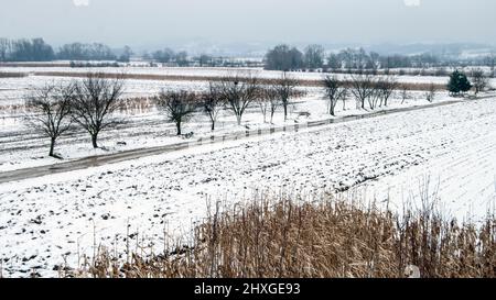 Panorama invernale della valle del fiume Jadar nella Serbia occidentale vicino alla città di Loznica. Foto Stock