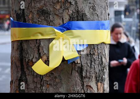 Londra, UK.Stand con Ucraina. Un nastro in colori ucraini è legato intorno ad un albero in Trafalgar Square in solidarietà con l'Ucraina. Credit: michael melia/Alamy Live News Foto Stock