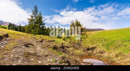 paesaggio carpaziano con prati verdi e foresta. strada rurale attraverso colline ondulate. cime di montagna innevate di cresta borzhava in lontananza. bea Foto Stock