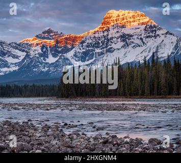 Montare Fryatt e il Fiume Athabasca presso sunrise, il Parco Nazionale di Jasper, Alberta, Canada Foto Stock