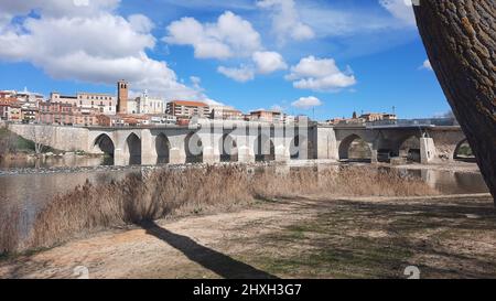 Vista sul fiume Duero con un ponte che attraversa Tordesillas, a Valladolid, Spagna. Europa. Fotografia orizzontale. Foto Stock