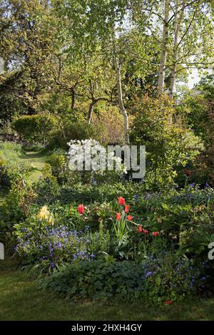 Una deliziosa mattina presto nel vecchio frutteto 'giardino di piacere' Foto Stock