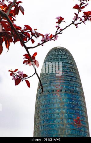 Barcellona, Spagna. 11th Mar 2022. I fiori si vedono a Barcellona, in Spagna, il 11 marzo 2022. Credit: Qing Shenglan/Xinhua/Alamy Live News Foto Stock