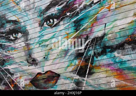 Graffiti Ritratto di Danny o'Connor a.k.a. DOC Foto Stock