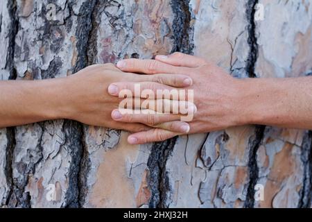 Salvare alberi uno alla volta. Sparato di qualcuno che abbraccia un albero nei boschi. Foto Stock