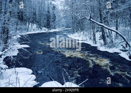 Inverno Nongeling scalinata letto fiume nelle rive innevate. Europa settentrionale Foto Stock