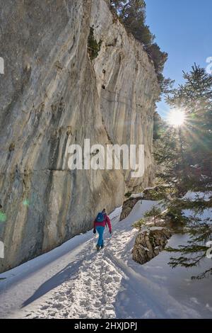 Donna escursione nel paesaggio innevato della catena montuosa Alpstein vicino ad Appenzell, Svizzera Foto Stock