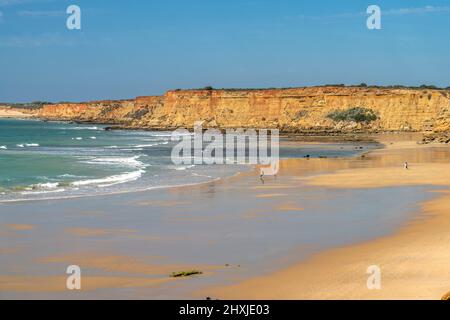 Der Strand Fuente de Gallo, Conil de la Frontera, Costa de la Luz, Andalusia, Spagna | Fuente de Gallo Beach, Conil de la Frontera, Costa de la Lu Foto Stock