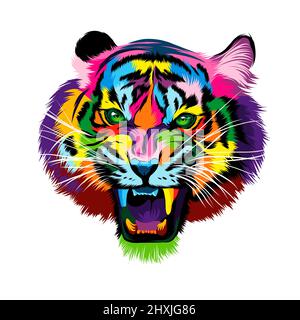 Ritratto astratto della testa della tigre, grin della tigre, tigre furious da pitture multicolore. Disegno colorato. Illustrazione vettoriale di vernici Illustrazione Vettoriale