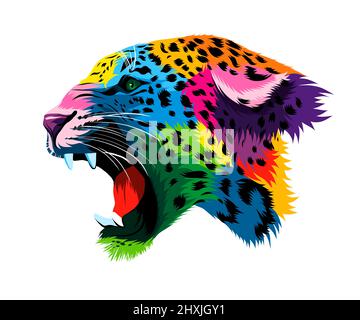 Ritratto astratto della testa di un leopardo snarling, grin di un leopardo da pitture multicolore. Disegno colorato. Illustrazione vettoriale di vernici Illustrazione Vettoriale