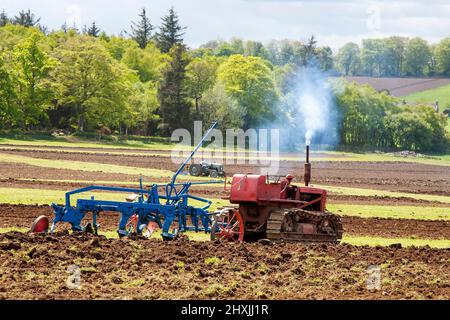 1949 40s Forties David Brown Nuffield Cripmaster aratura in Scozia rurale Regno Unito; Nuffield 465 4/65 British Leyland trattore aratura campo. Vintage Farm Working Machinery nelle Highlands scozzesi. Foto Stock