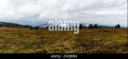 Escursione attraverso Vosgi, Francia, Département Haut-Rhin, le Valtin, Réserve Naturelle de Tanet-Gazon du Faing Foto Stock