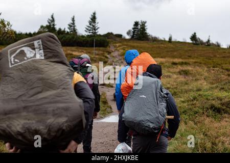 Escursione attraverso Vosgi, Francia, Département Haut-Rhin, le Valtin, Réserve Naturelle de Tanet-Gazon du Faing Foto Stock