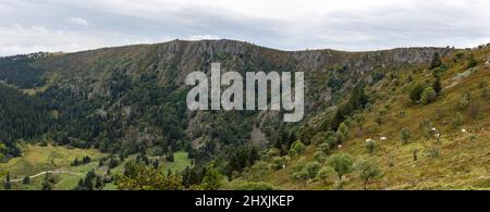 Escursione attraverso Vosgi, Francia, Département Haut-Rhin, le Valtin, Réserve Naturelle de Tanet-Gazon du Faing Foto Stock