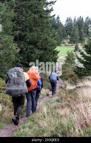 Escursione attraverso Vosgi, Francia, Département Haut-Rhin, le Valtin, Réserve Naturelle de Tanet-Gazon du Faing Foto Stock