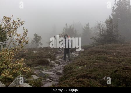 Escursione attraverso Vosgi, Francia, Département Haut-Rhin, le Valtin, Réserve Naturelle de Tanet-Gazon du Faing Foto Stock