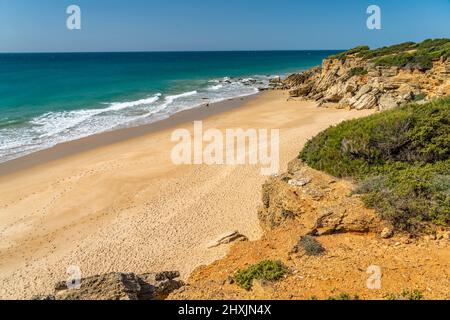 Die Strandbuchten Calas de Roche bei Conil de la Frontera, Costa de la Luz, Andalusia, Spanien | le calas de Roche baie vicino a Conil de la Frontera Foto Stock