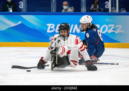 13 marzo 2022, Pechino, Hebei, Cina: Team USA Beats Canada for Gold, Pechino 2022 Paralimpiadi, 13 marzo 2022. (Credit Image: © Mark Edward Harris/ZUMA Press Wire) Foto Stock