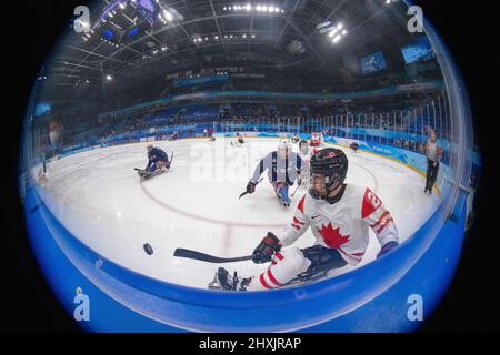 13 marzo 2022, Pechino, Hebei, Cina: Team USA Beats Canada for Gold, Pechino 2022 Paralimpiadi, 13 marzo 2022. (Credit Image: © Mark Edward Harris/ZUMA Press Wire) Foto Stock