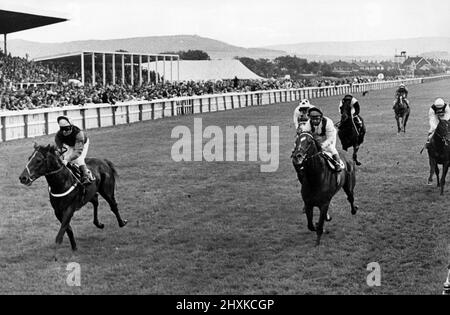 Redcar Racecourse è una struttura di corse di cavalli purosangue situata a Redcar, nel North Yorkshire. Muoviti (a sinistra), guidato da Newmarket leggero jockey Ray ancora, viene con una forte corsa per battere il preferito, Royal Match di una lunghezza nella Zetland Gold Cup a Redcar. E 'stato un grande successo locale per il trasferimento è di proprietà del contadino Bill Barker, da Scorton, vicino Catterick e addestrato a Hambleton, vicino Thirsk, da Jack Calvert. 1st giugno 1976. Foto Stock