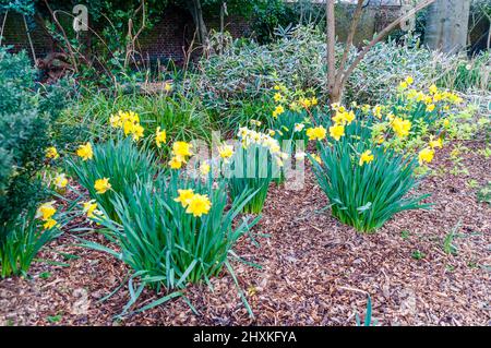 West Ham Park a Newham, East London Foto Stock