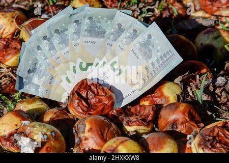 Euro Notes e mele ammuffite. Ogni tedesco spende in media circa 235 euro l'anno per cibo che finisce nella spazzatura. Foto Stock