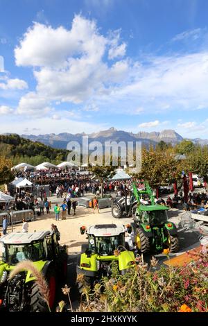 Foire agricole. Saint-Gervais-les-Bains. Alta Savoia. Auvergne-Rhône-Alpes. Francia. Foto Stock