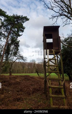 Shooting Tower, Swannington Norfolk Foto Stock