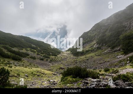 Pecore selvatiche giacenti nel mezzo di diverse rocce grigie vicino al sentiero escursionistico per le Zugspitze. Con vista sulla valle del Reintal nebbia al mattino. Foto Stock