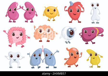 Simpatici organi interni personaggi. Cervello umano divertente, fegato, polmone e stomaco. Sistema corporeo sano. Cuore e vescica con volti felici. Didattica Illustrazione Vettoriale