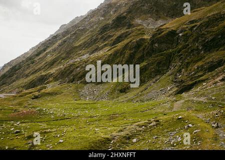 Prato con enormi pietre tra l'erba in cima alla collina vicino alla montagna. Paesaggio della valle di montagna. Paesaggio naturale. Turismo escursionistico. Foto Stock